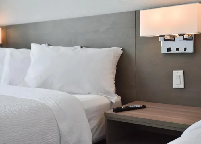 Repotel Levis