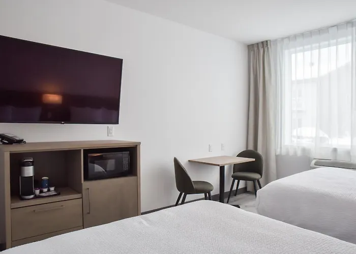 Repotel Levis